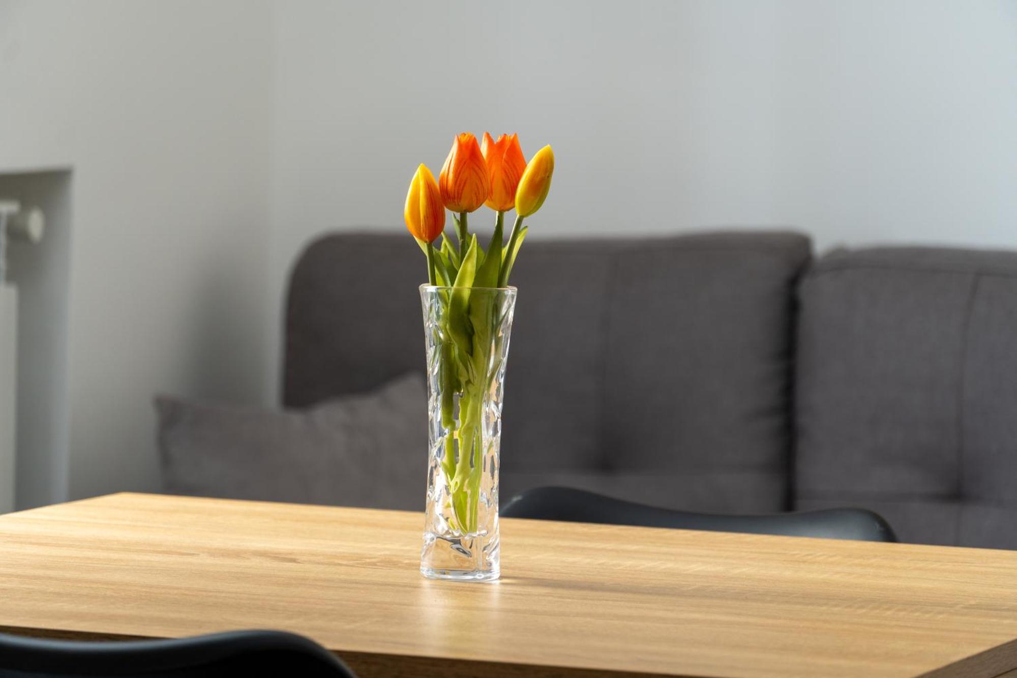 Marle Apartment *